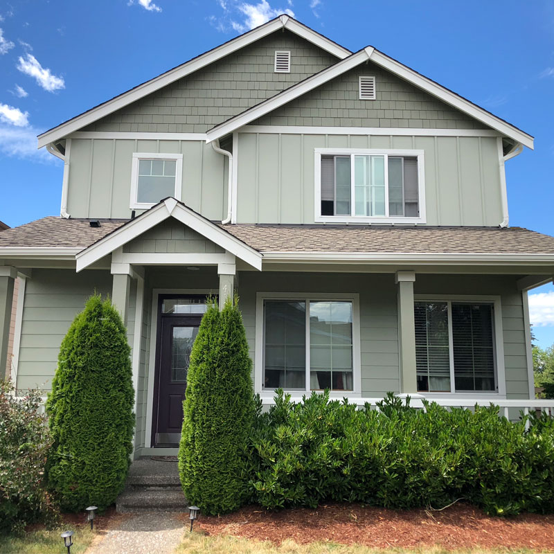 Evergreen Painting Portfolio